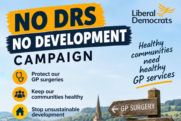 poster for the no drs no development campaign